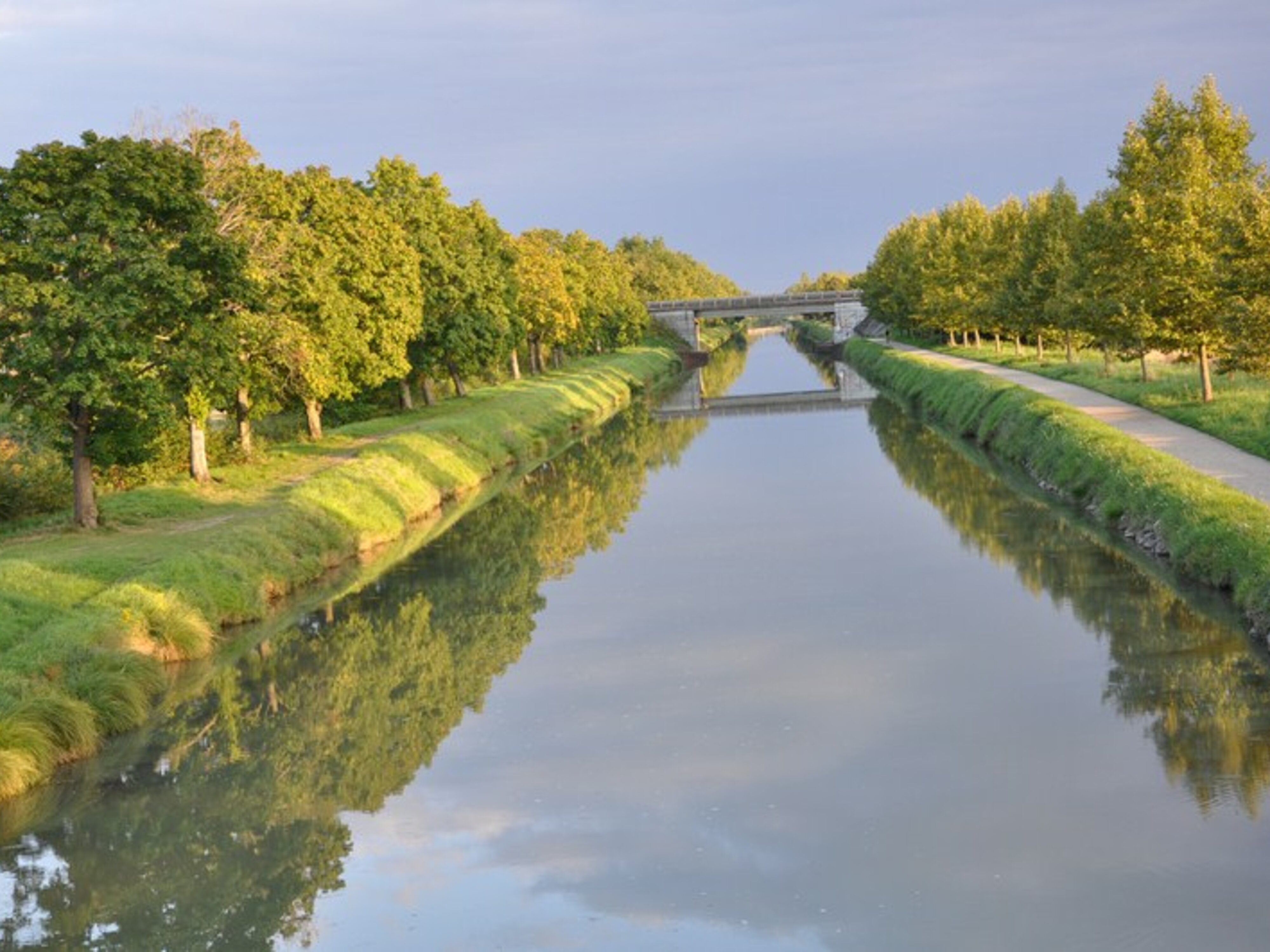 Image des berges du canal